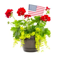 Lowe's Memorial Day sale: lawn and garden deals starting at $2.99