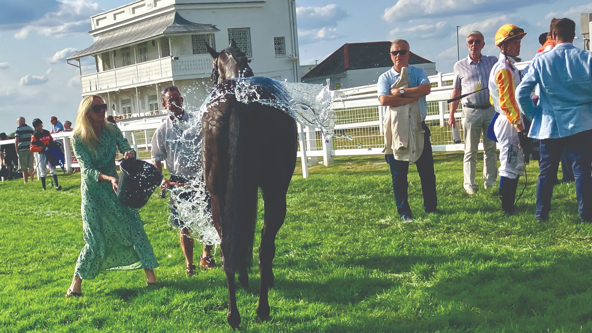 A woman in a dress throws a bucket of water over a racehorse