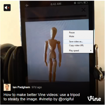 Vine Video