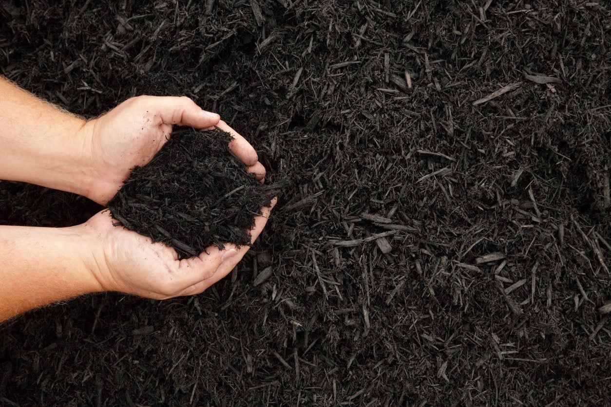 Hands Holding Mulch