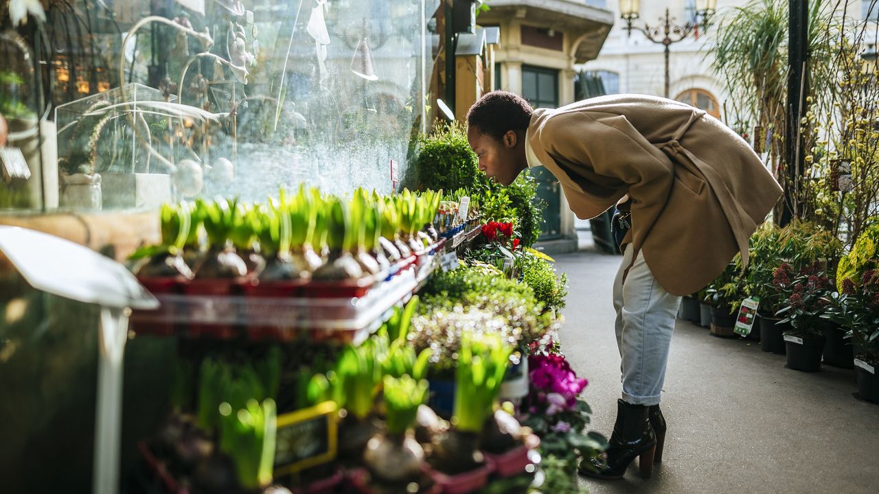 A woman checks out produce at an outdoor market in France.