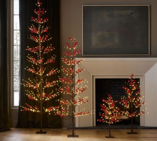 Four thin, twig Christmas trees with red berry and warm, white lights on them. They are staggering heights and in a brown painted living room with a white fire place