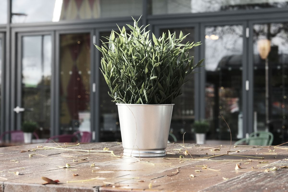 Fujifilm X-T30 II sample image