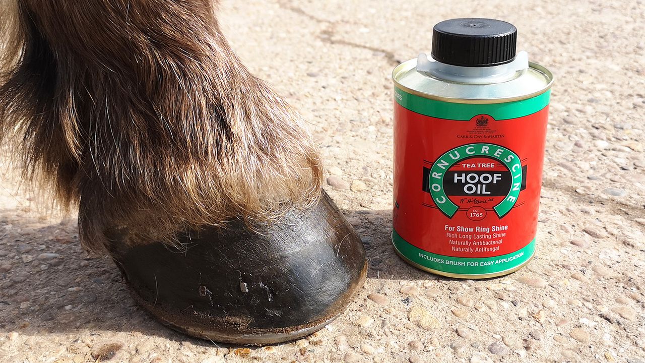 Carr &amp; Day &amp; Martin Cornucrescine tea tree hoof oil dried