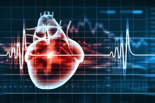 An image shows a human heart with a cardiogram