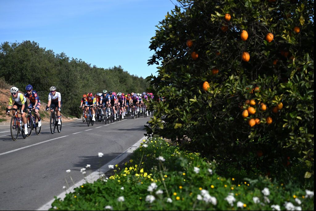 GANDIA SPAIN FEBRUARY 13 A general view of the peloton competing during the 9th Setmana Ciclista Volta Femenina de la Comunitat Valenciana 2025 Stage 1 a 112km stage from Alzira to Gandia on February 13 2025 in Gandia Spain Photo by Szymon GruchalskiGetty Images