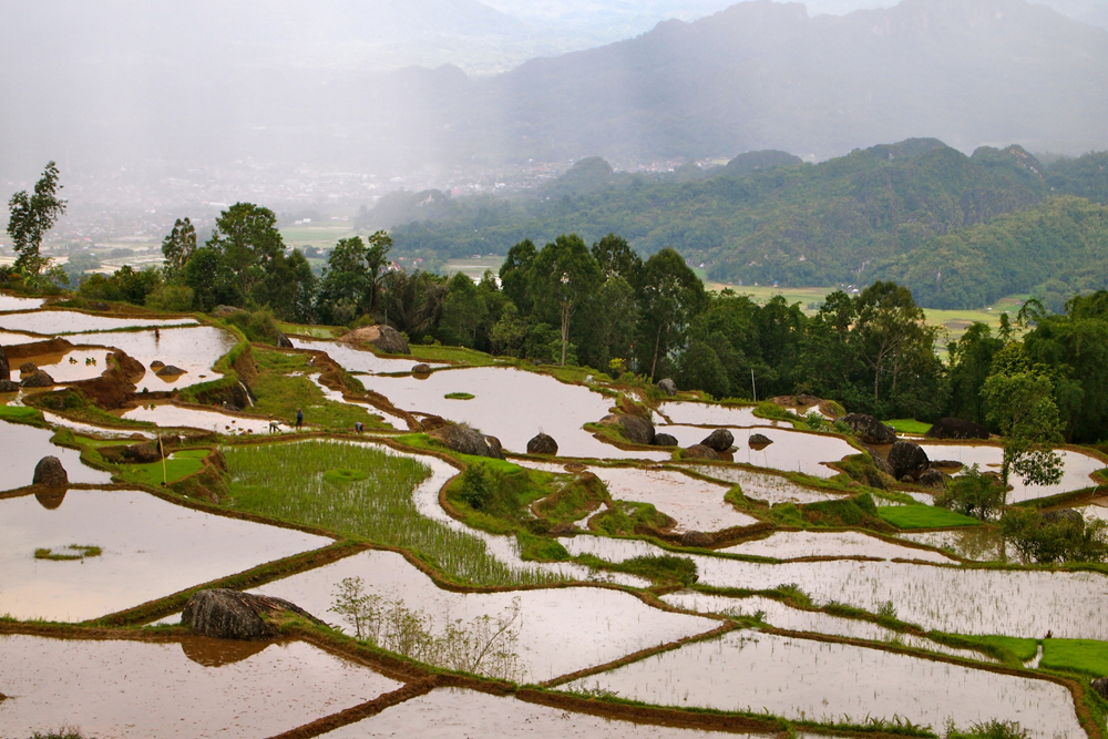cultures, destinations