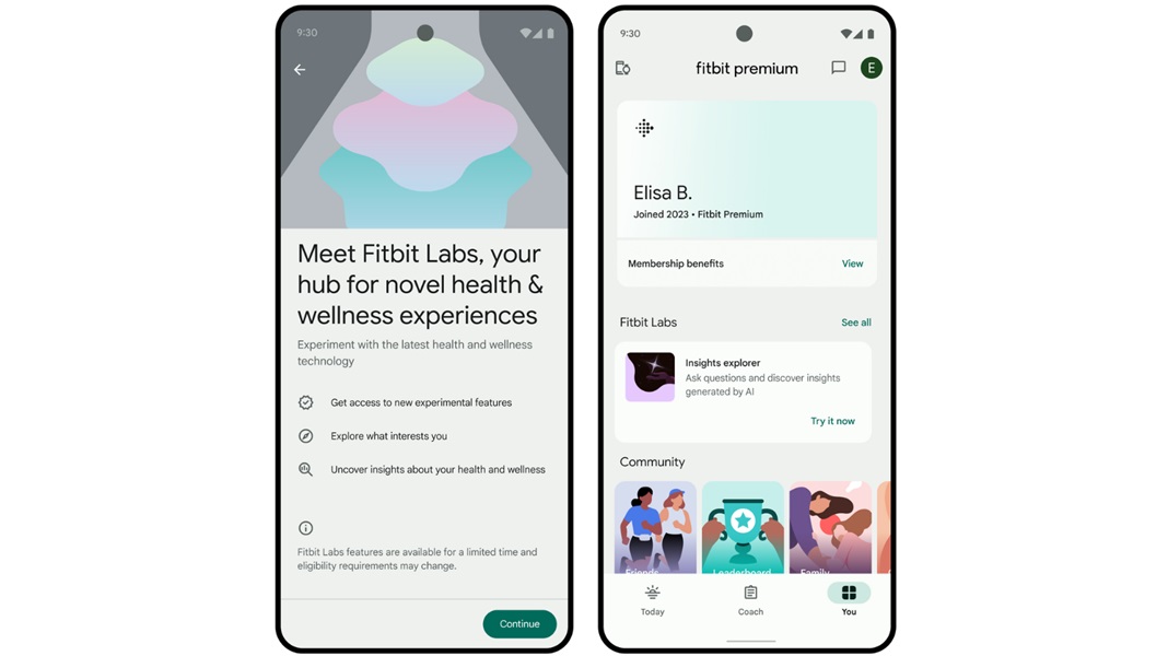 Fitbit Labs предлагает тест Insight Explorer благодаря Google Gemini