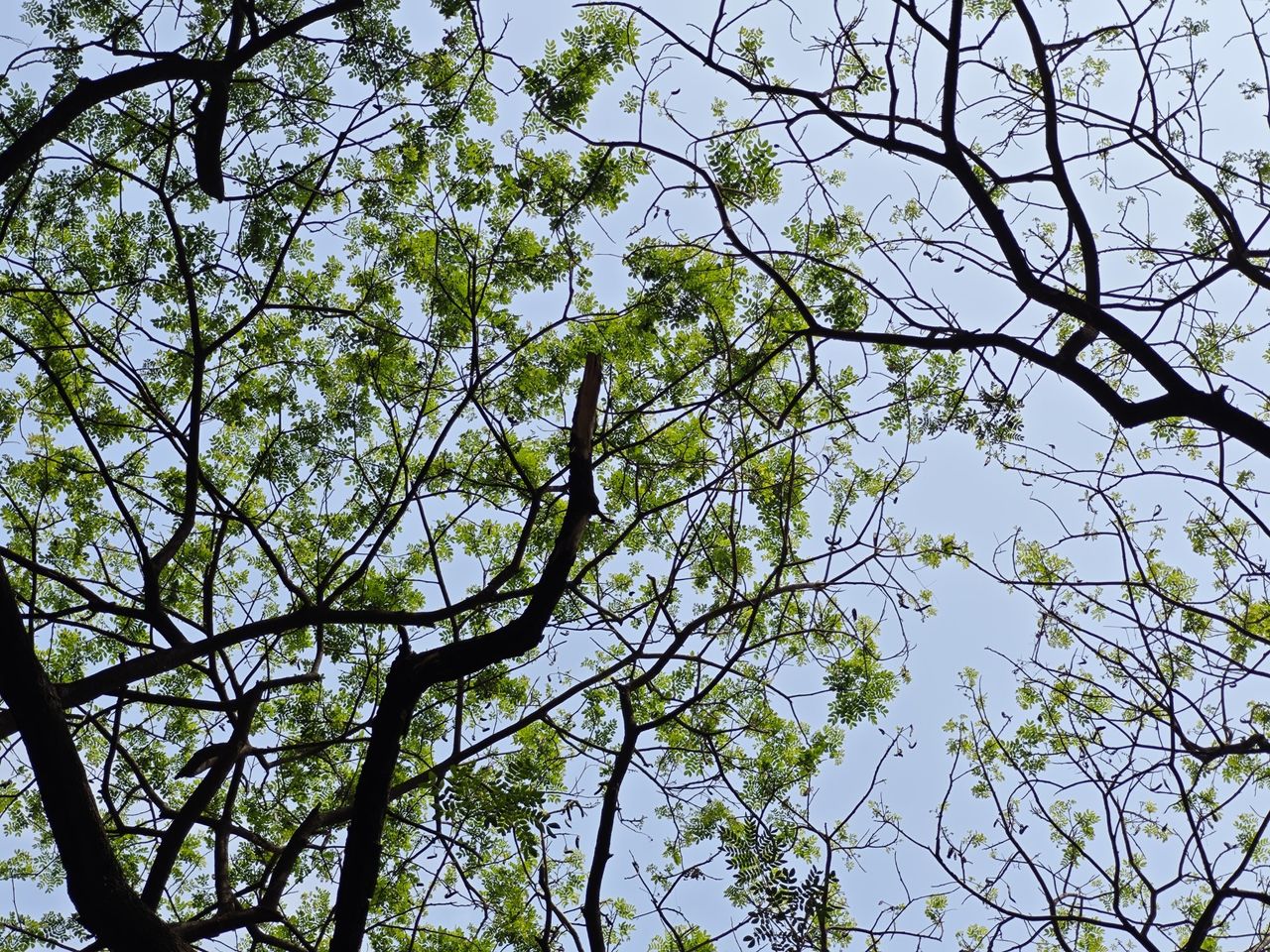 Xiaomi 14 camera shots