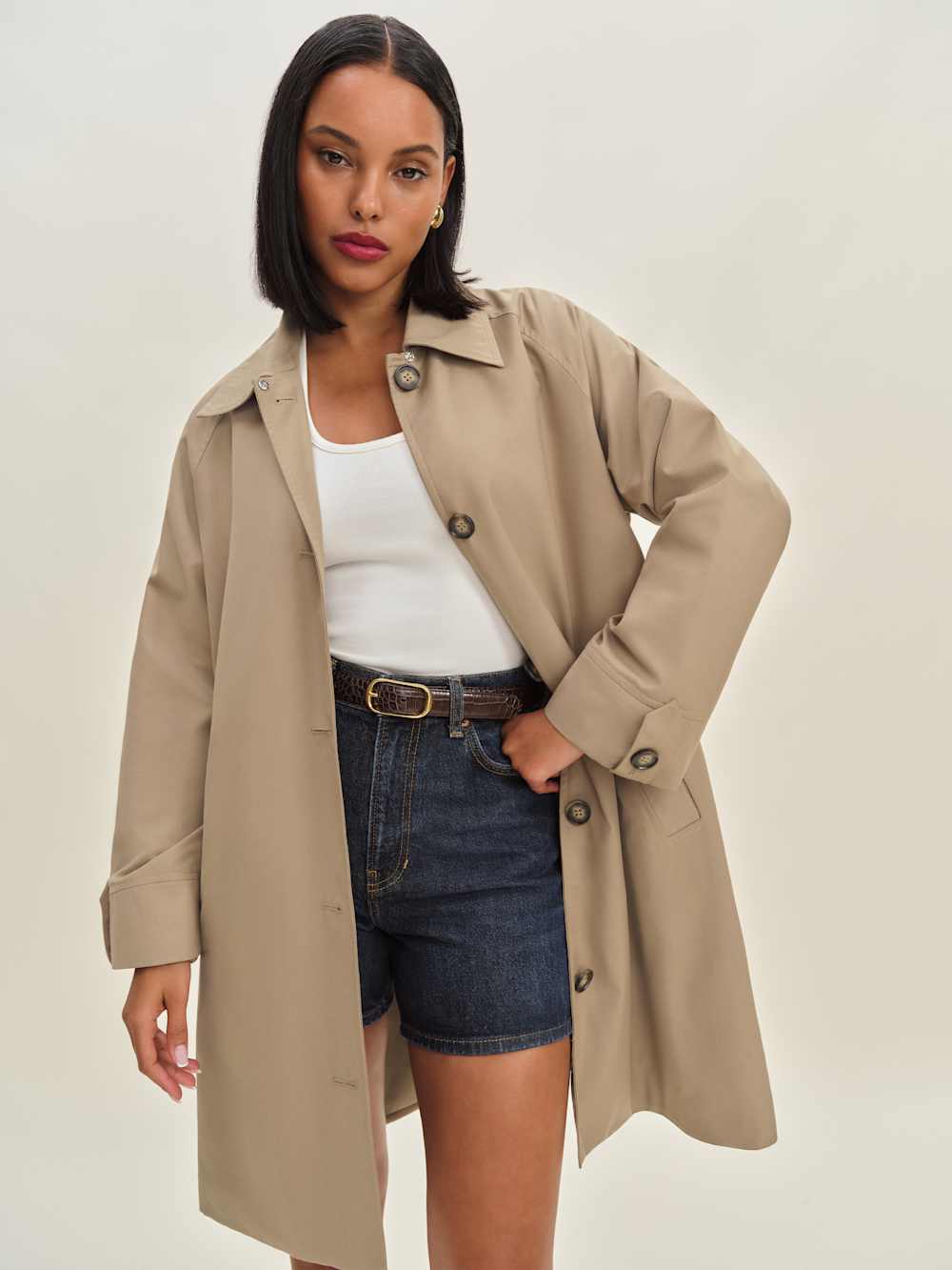 Dion Trench