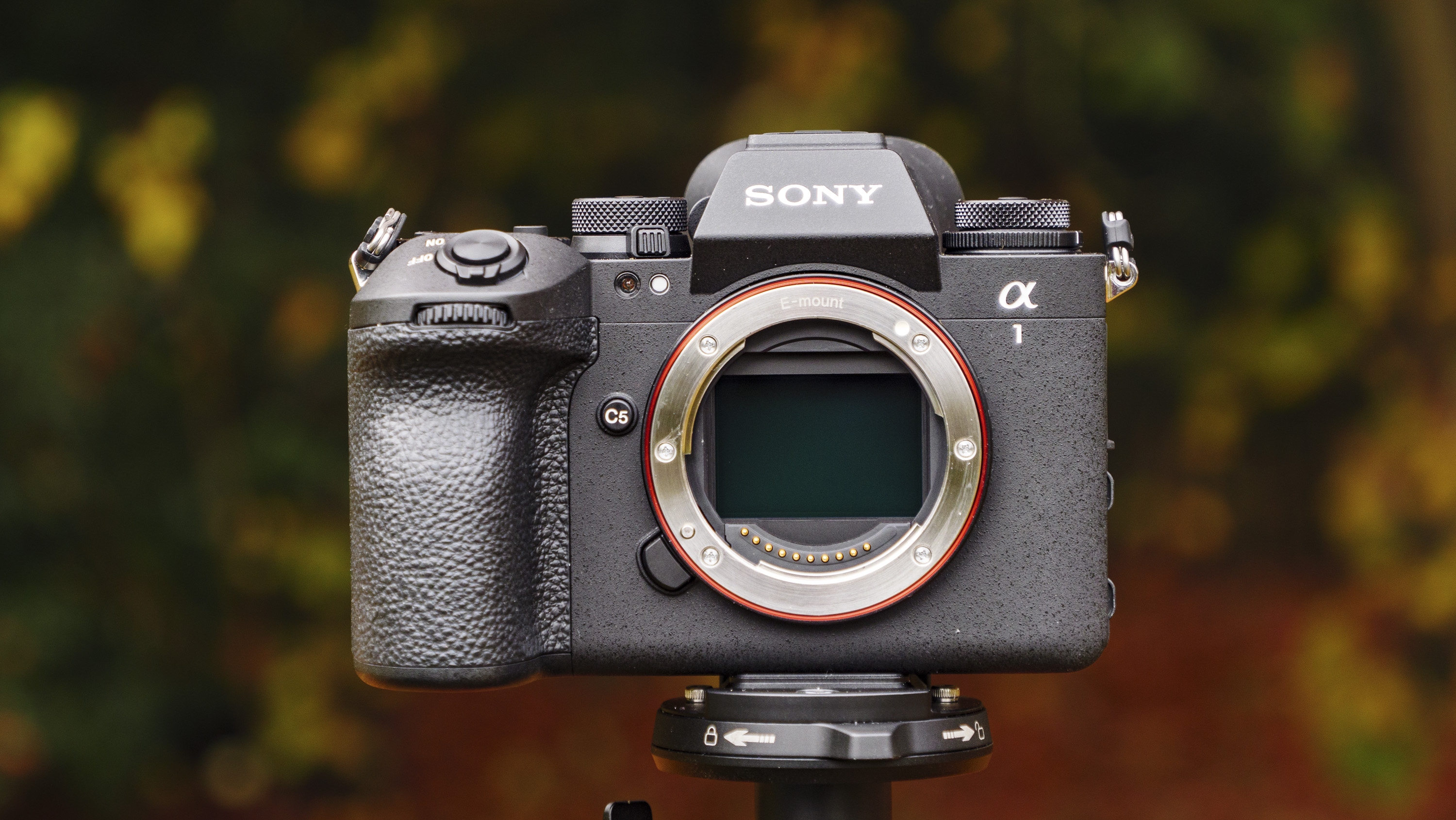 Sony A1 II mirrorless camera outdoors on a tripod with autumn leaves background