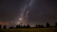 A night sky filled with stars and the Milky Way, featuring several bright Perseid Meteor Shower streaks above the silhouette of trees and a grassy field.