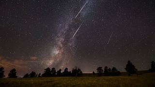 A night sky filled with stars and the Milky Way, featuring several bright Perseid Meteor Shower streaks above the silhouette of trees and a grassy field.