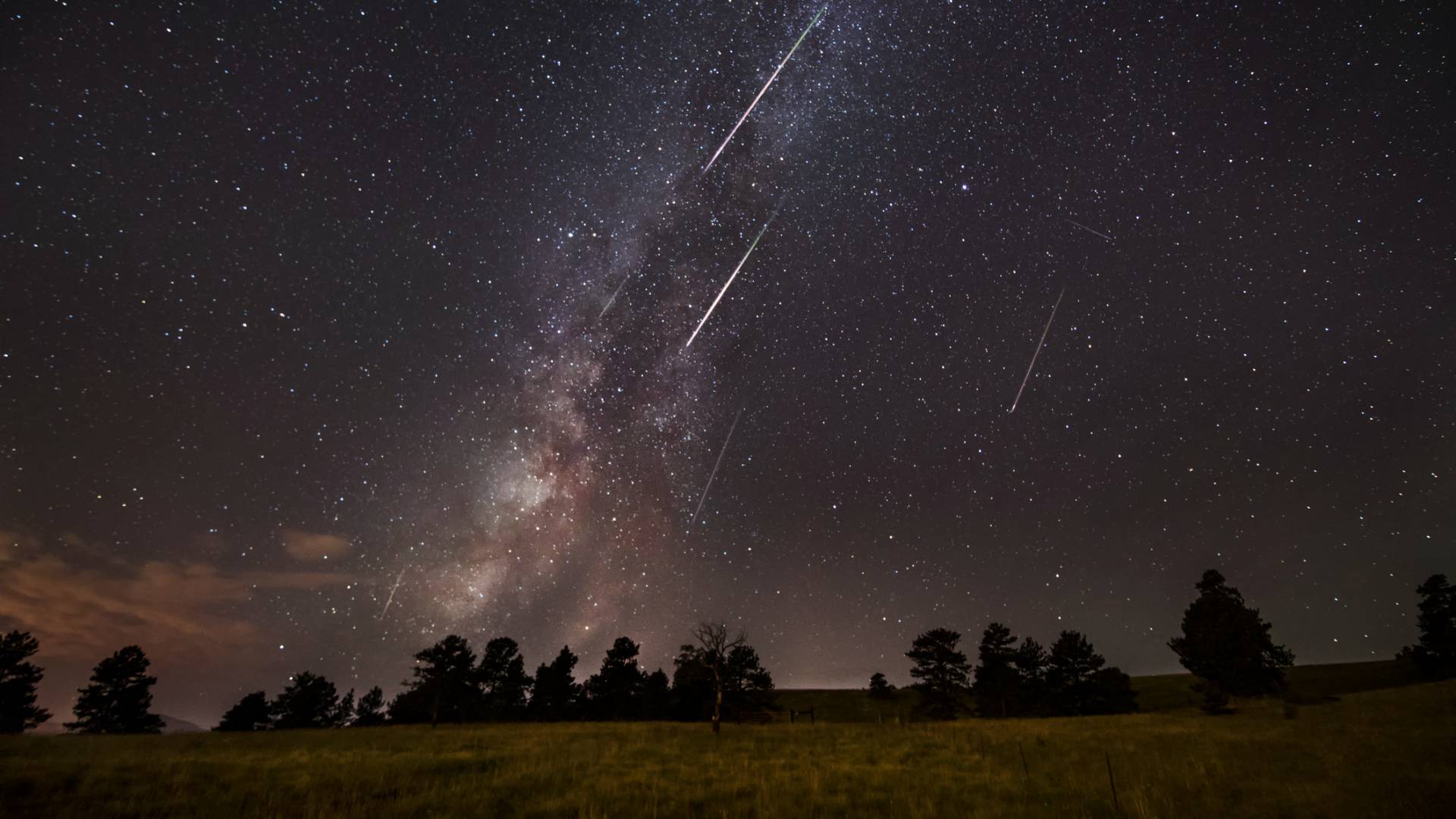 A night sky filled with stars and the Milky Way, featuring several bright Perseid Meteor Shower streaks above the silhouette of trees and a grassy field.