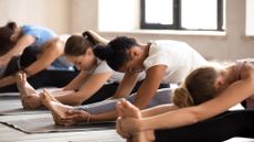 side shot of a group of women in a yoga class with legs outstretched doing a forward fold. 