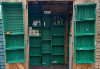 Inside the shed with empty plastic stacking shelves