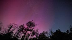 A photo of shooting stars streaking across a sky with a pink aurora