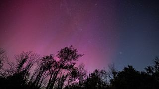 A photo of shooting stars streaking across a sky with a pink aurora