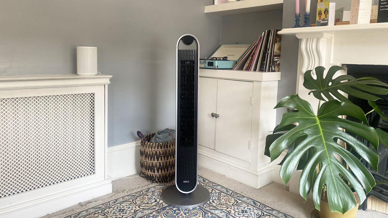 Black and grey tower fan in a living room next to a plant and radiator.