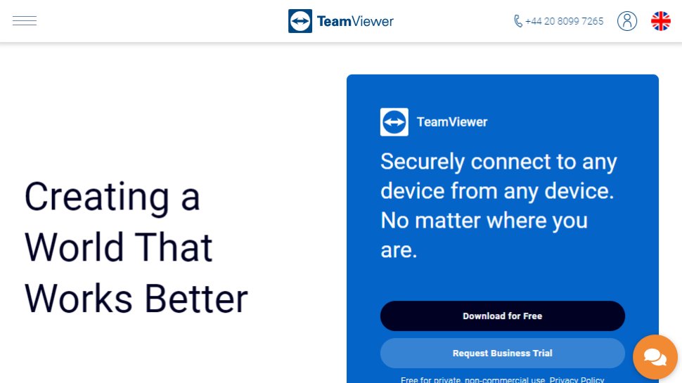 Website screenshot for TeamViewer