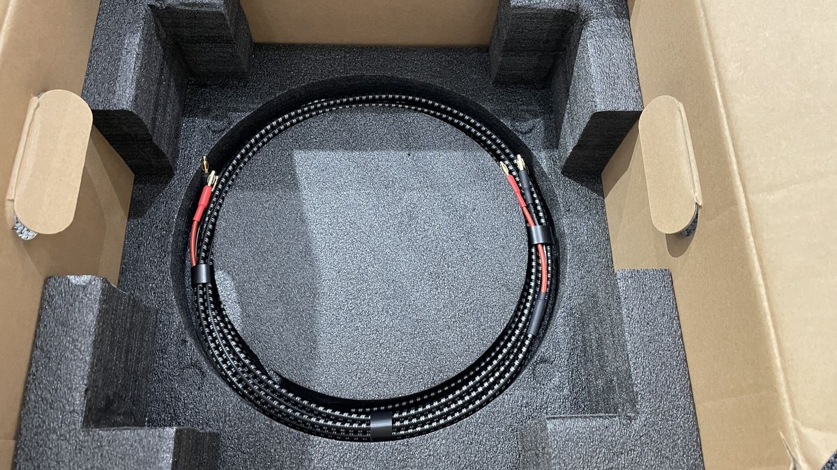 Speakers cables included with the Ruark R610