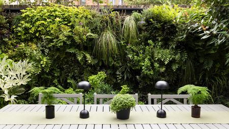 Small garden with lush living wall at the back