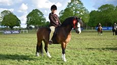 2024 Royal Windsor Pretty Polly M&M