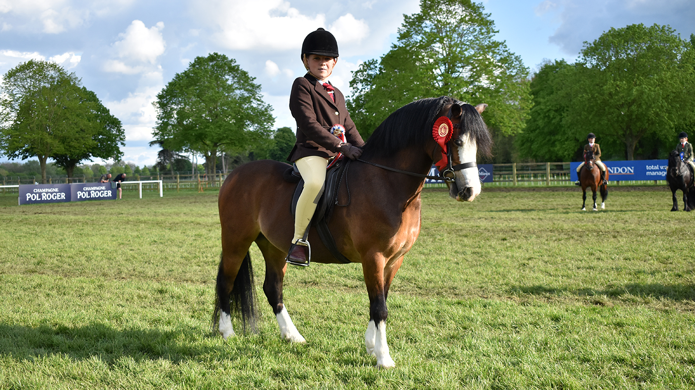 2024 Royal Windsor Pretty Polly M&amp;amp;M