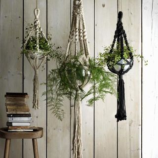 hanging macrame planter graham and green holders