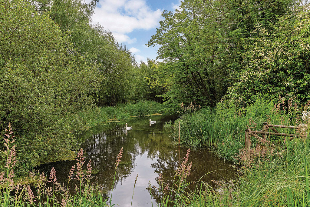 House for sale with fishing rights: The Ford, Greywell, Hook, Hampshire.