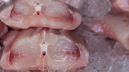 Shark meat in fish market