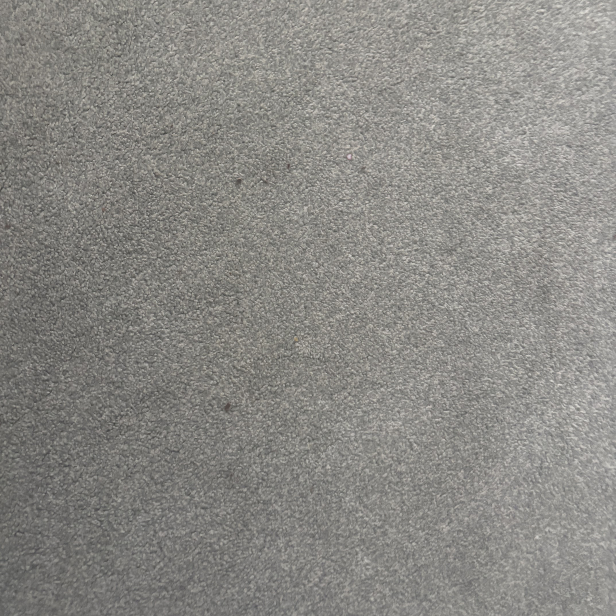 carpeted floor after using eufy C10 