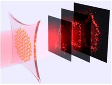 Researchers have developed holograms made of stretchy materials that could enable holographic animation.