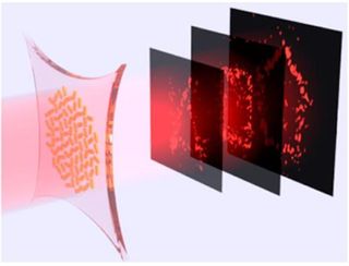 Researchers have developed holograms made of stretchy materials that could enable holographic animation.