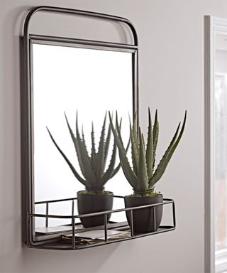 Industrial Hallway mirror idea with shelves and houseplants by Cox and Cox
