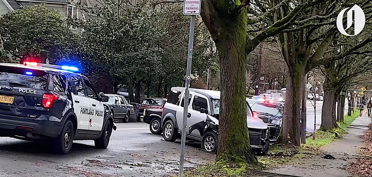 Car after hit-and-run spree