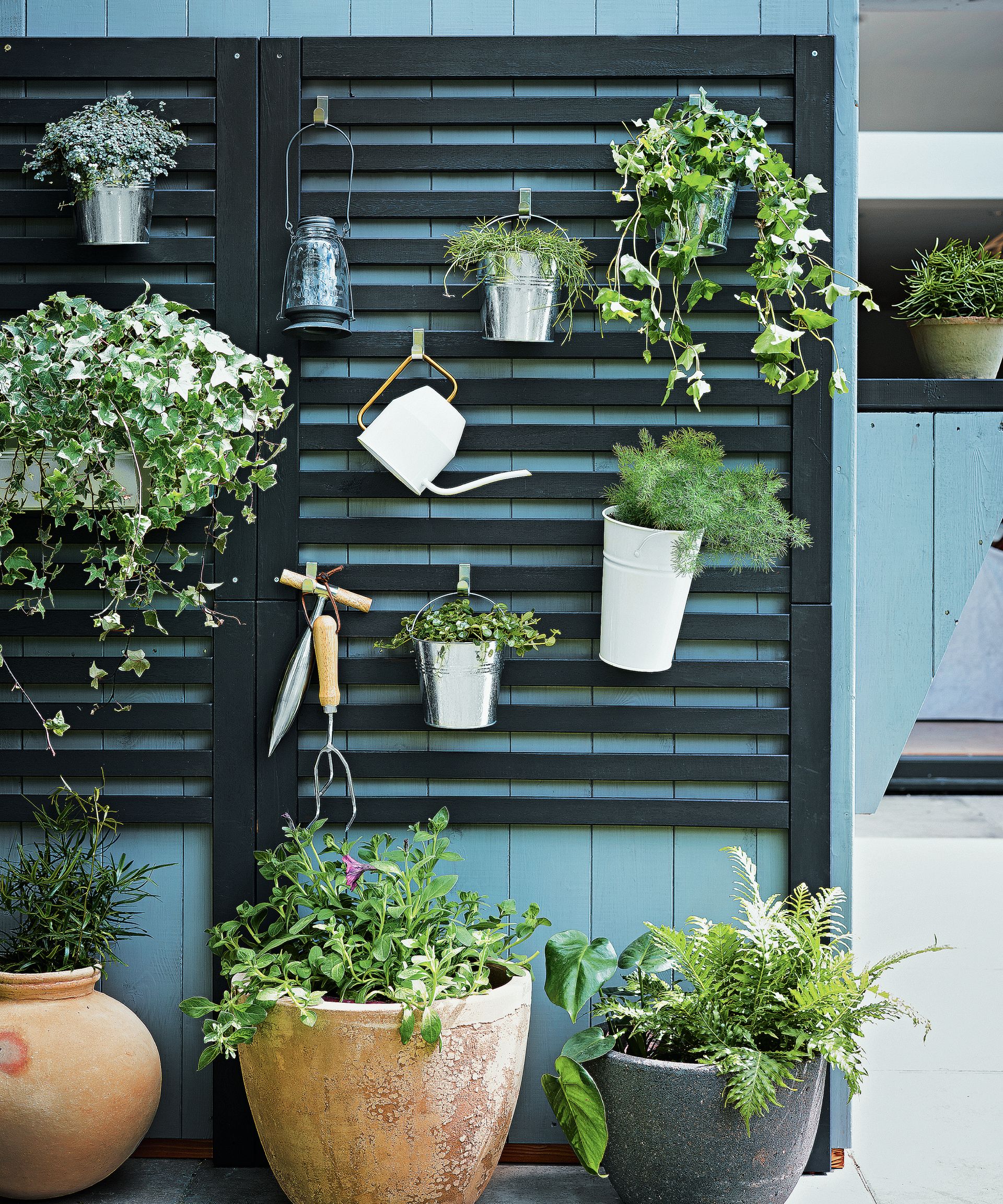 Wooden panel with plants hanging in pots, watering can and gardening tools above plants in pots.