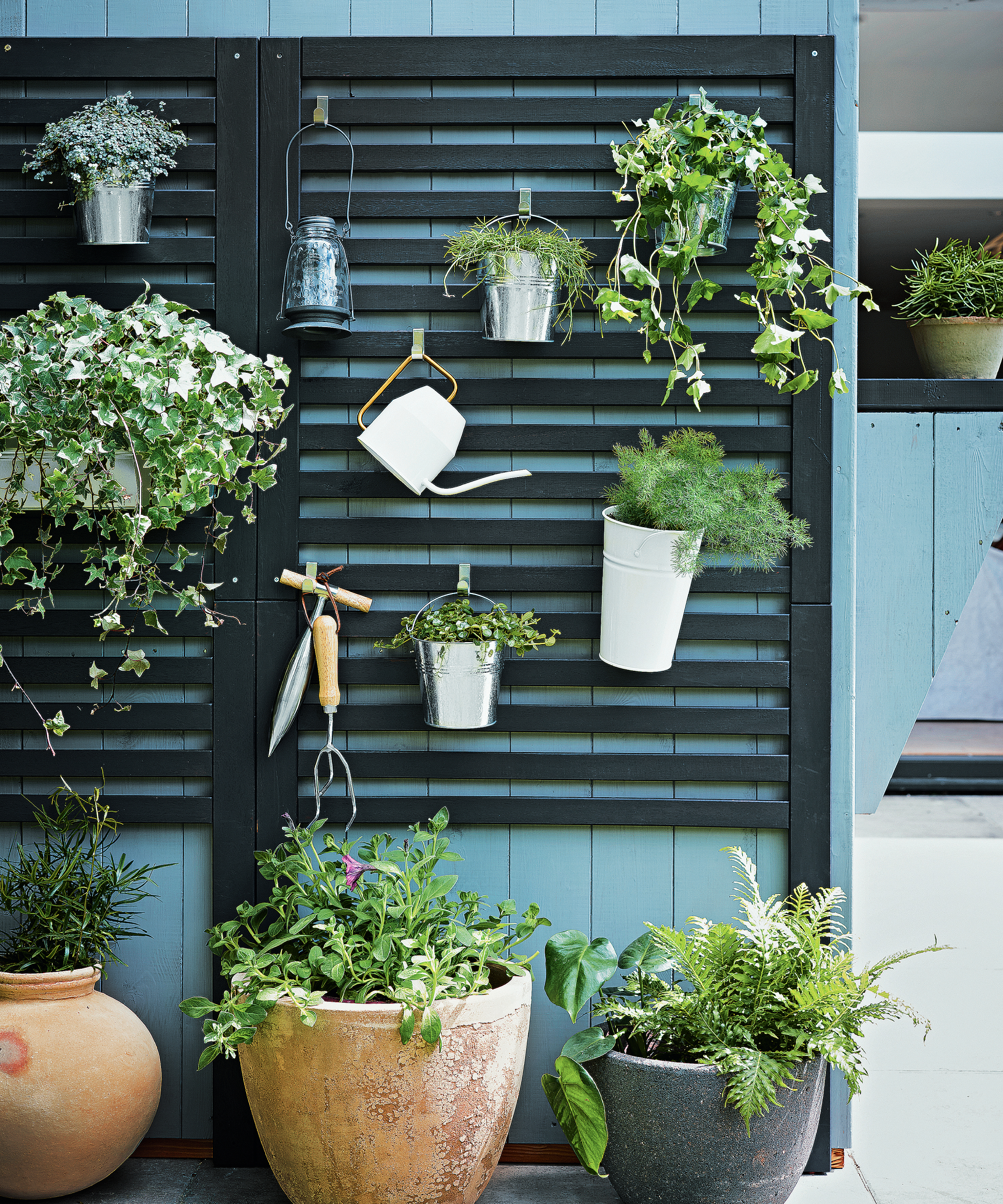 Wooden panel with plants hanging in pots, watering can and gardening tools above plants in pots.