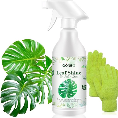 Amazon leaf shine