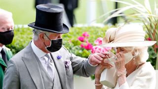 Prince Charles and Duchess Camilla struggle with their face masks