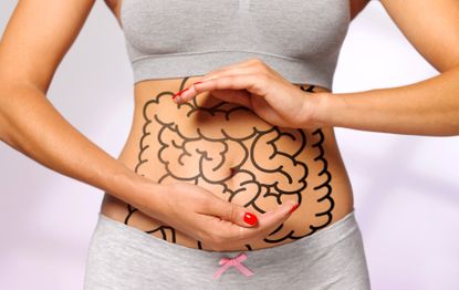 Woman's stomach with digestive organs drawn on top to illustrate the question are there breads that won’t make you bloat
