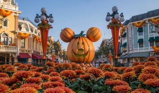 Michey Mouse pumpkin