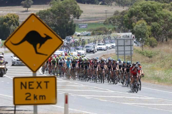 Watch for Kangaroos out there