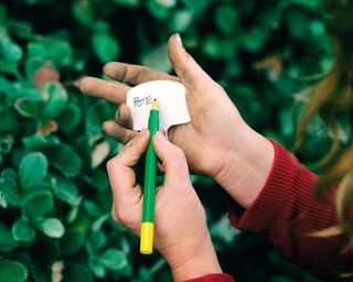 person writing a plant name on a label