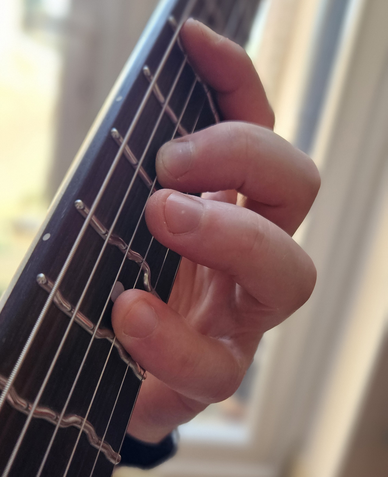 True Temperament crooked frets