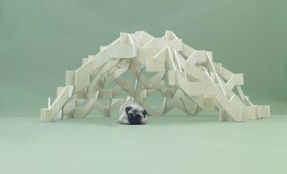 Dome-like structure made from pieces of interlocking plywood, creating a playhouse for a Pug