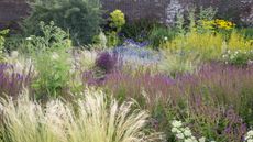 Naturalistic border planted with textured grasses and mauve flowers