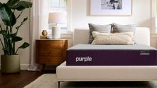 A modern bedroom with a mattress from Purple.