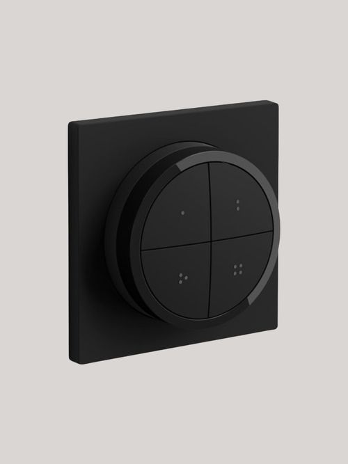 Tala Single rotary wall dimmer, brass