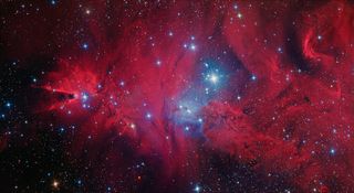Cone and Foxfur nebulas